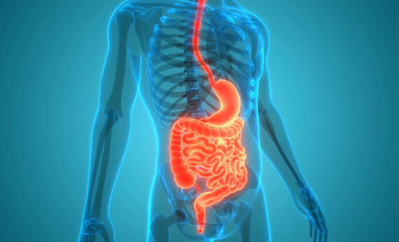 Gastroenteroloji Nedir? Sindirim Sistemi Hastalıklarına Genel Bakış