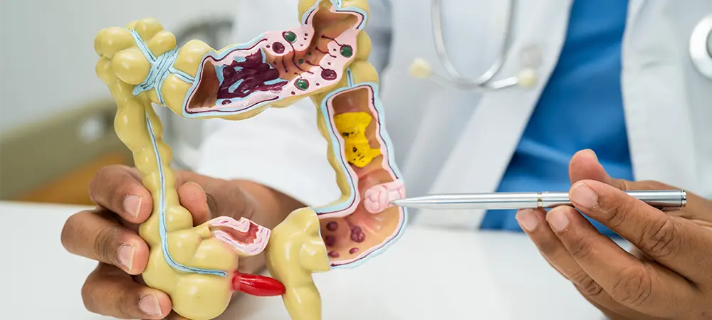 Kolonoskopi Neden Yapılır? Hazırlık, Riskler ve Sonuçlar