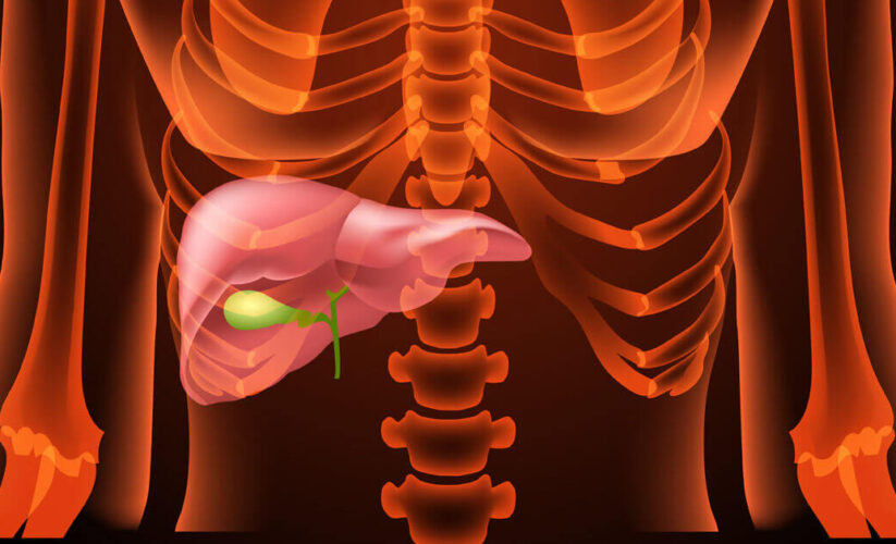 Safra Yolu ve Safra Kesesi Hastalıkları Nedir? | Kapsamlı Rehber