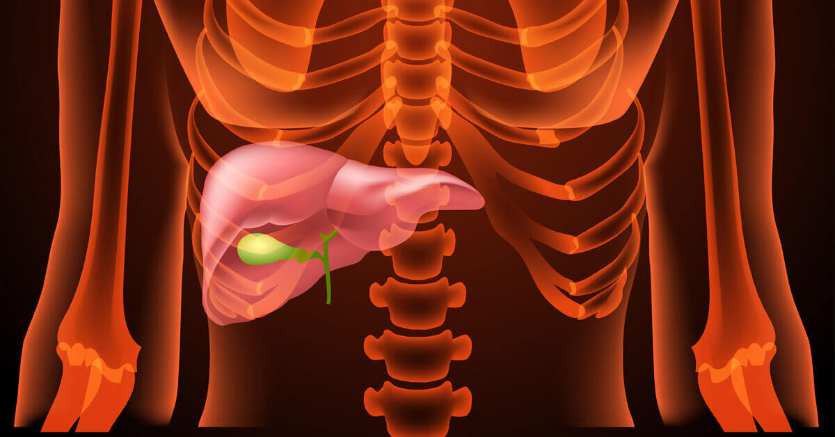 Safra Yolu ve Safra Kesesi Hastalıkları Nedir? | Kapsamlı Rehber